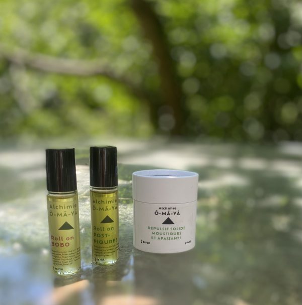 🧳 Essentiel Vacances